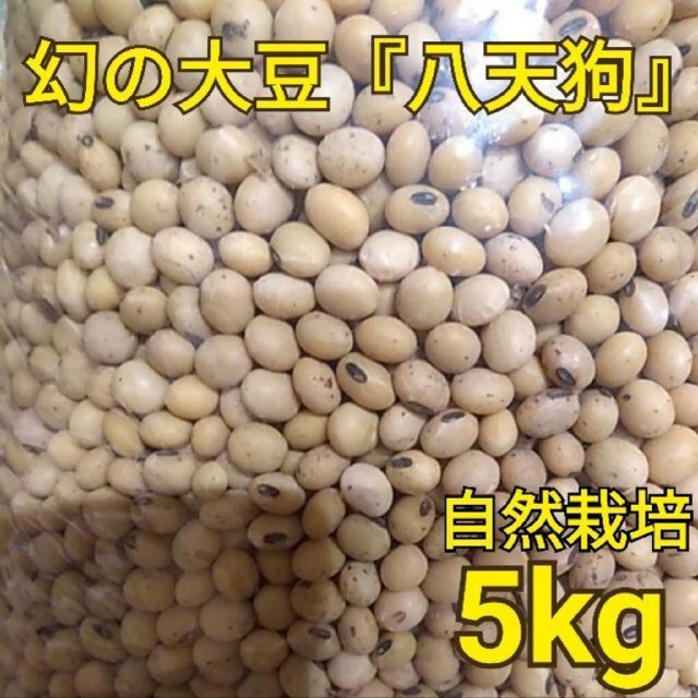 自然栽培 幻の大豆 『八天狗』5kg 熊本県産