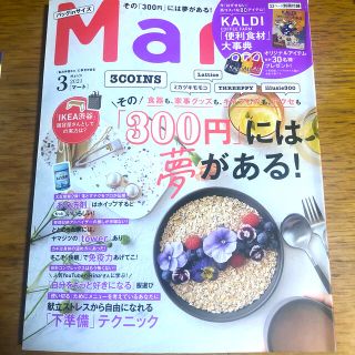 コウブンシャ(光文社)のバッグinサイズ Mart (マート) 2021年 03月号(生活/健康)