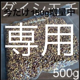 ダイシモチ玄麦500g今だけプラス150g(米/穀物)