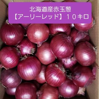 北海道産　赤玉ねぎ【アーリーレッド】 Lサイズ　約10キロ (野菜)