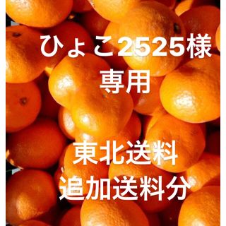 ひょこ2525様　専用　東北送料への追加送料分(フルーツ)