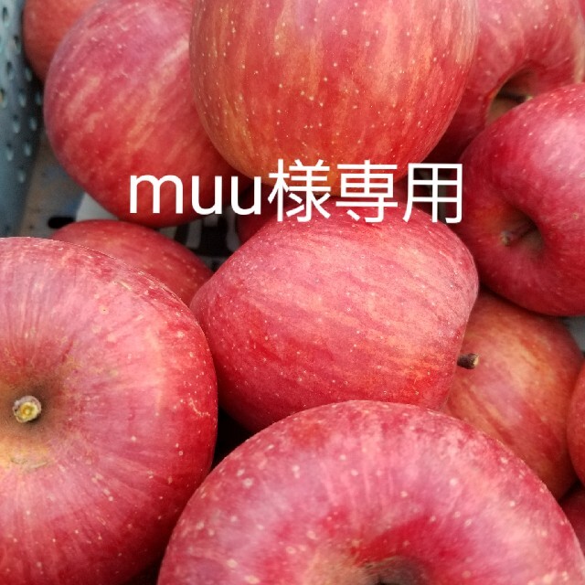 muu様専用 小玉サンふじ10㎏ 食品/飲料/酒の食品(フルーツ)の商品写真