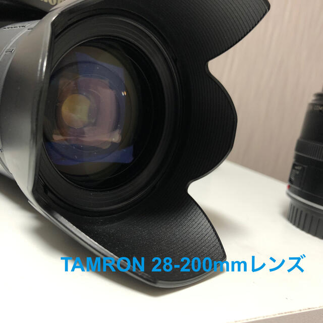 Canon - Canon EOS 1000QD フィルム一眼レフカメラ TAMRONレンズ付きの