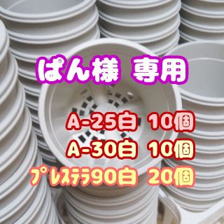 プラ鉢3号【A-30】10個 他 スリット鉢 丸 プレステラ 多肉植物(プランター)