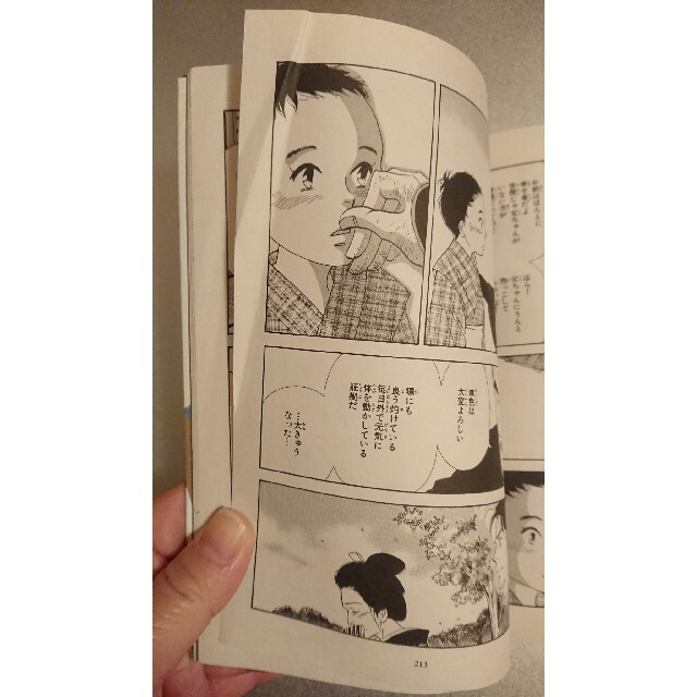 白泉社(ハクセンシャ)の大奥 第１１巻 エンタメ/ホビーの漫画(青年漫画)の商品写真