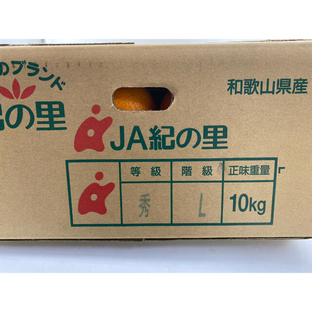 和歌山県産　清見オレンジ　L 約10kg 食品/飲料/酒の食品(フルーツ)の商品写真