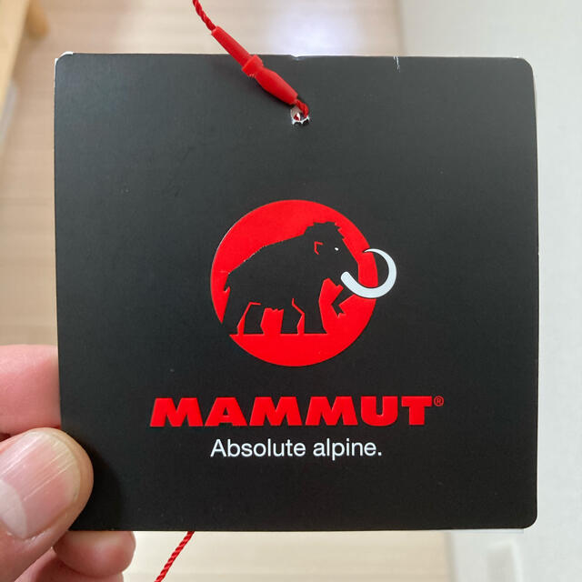 Mammut(マムート)ののび4666様専用　マムート　ダウン　ジャケット　クレーター サーモフーテッド  メンズのジャケット/アウター(ダウンジャケット)の商品写真