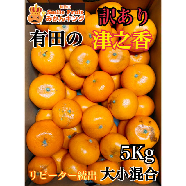 訳あり　和歌山県産　有田の津之香　5Kg 送料込み　みかんキング 食品/飲料/酒の食品(フルーツ)の商品写真