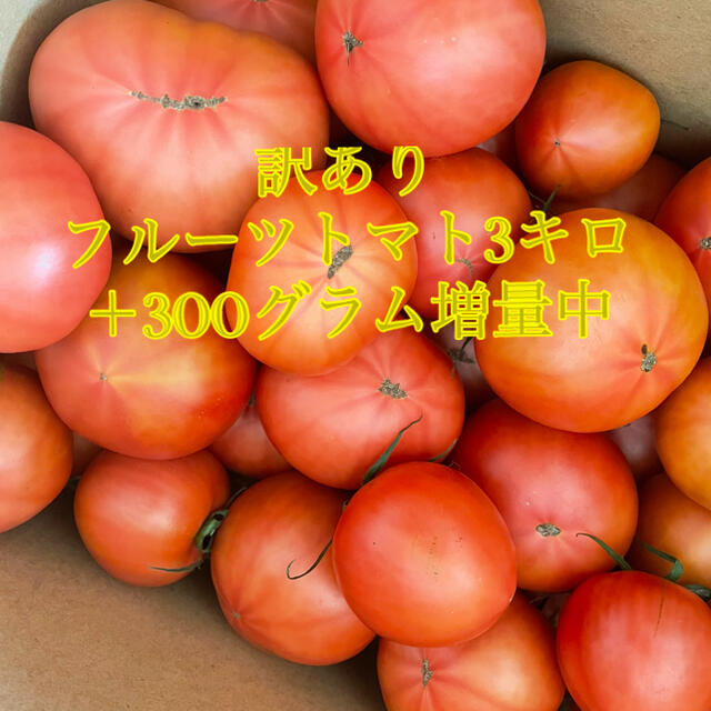 yury様専用　高糖度訳ありフルーツトマト6キロ
