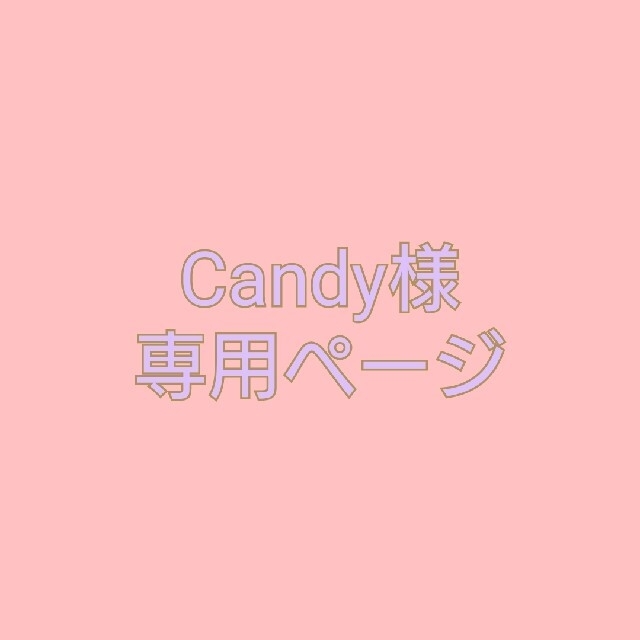 Candy様 専用ページ www.exceltaxisantcugat.cat
