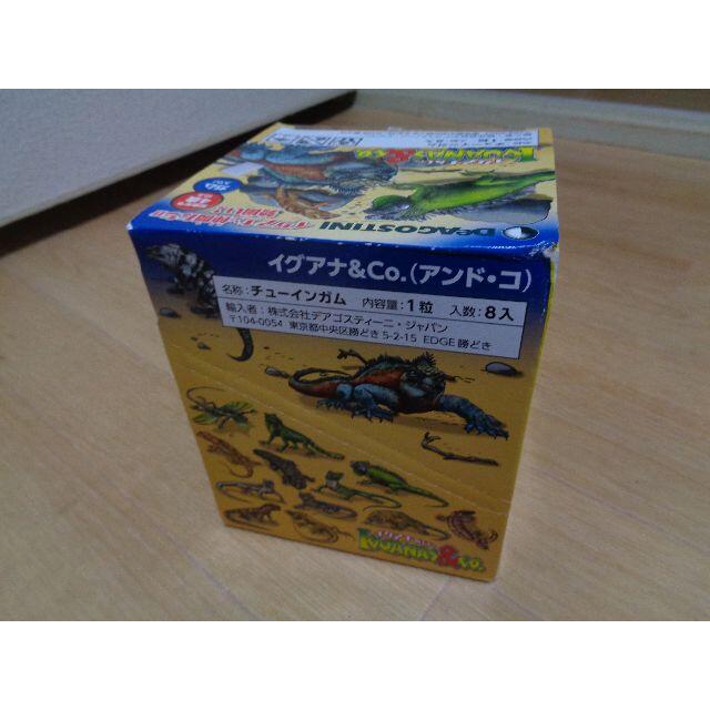 専用 イグアナ&Co.