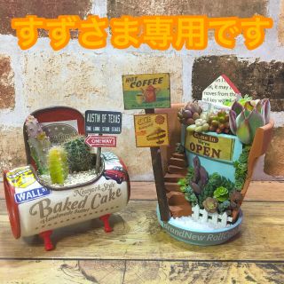 多肉植物の寄せ植え　丘の上のカフェ2号店　ちびジュース缶(その他)