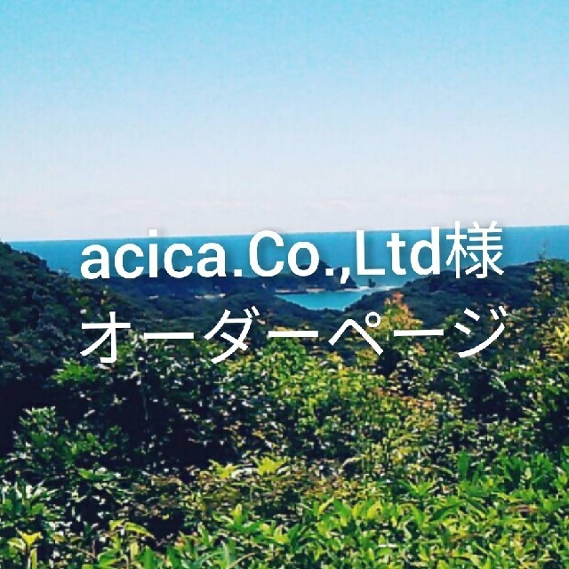 acica.Co.Ltd様オーダーページ ハンドメイドのキッズ/ベビー(外出用品)の商品写真