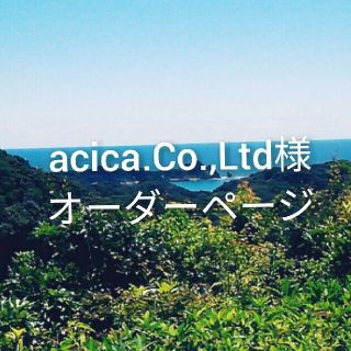 acica.Co.Ltd様オーダーページ(外出用品)