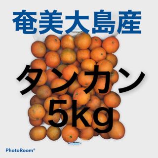 南国　奄美大島産　タンカン5kg(フルーツ)