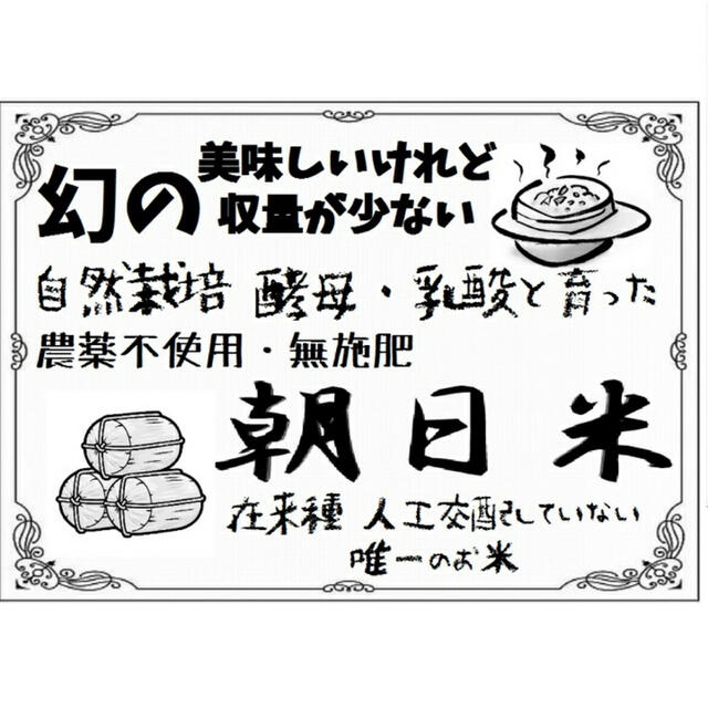 自然栽培 幻の朝日米20kg［真空パック2.5kg小分け]令和ニ年岡山産直玄米食品