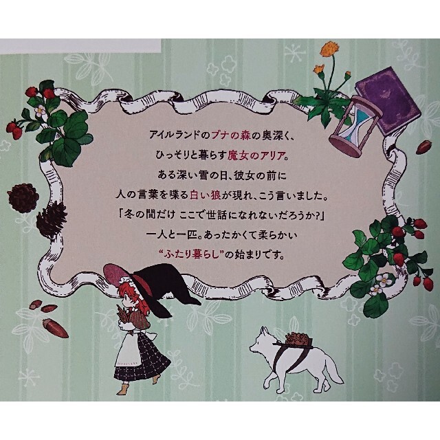 角川書店(カドカワショテン)のブナの森のアリア １ エンタメ/ホビーの漫画(少女漫画)の商品写真