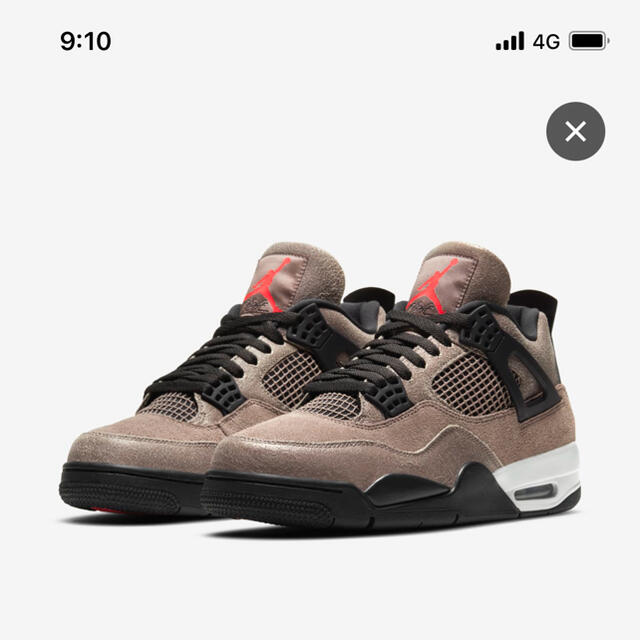 Nike AIR jordan4 Taupe Haze 27.5cm