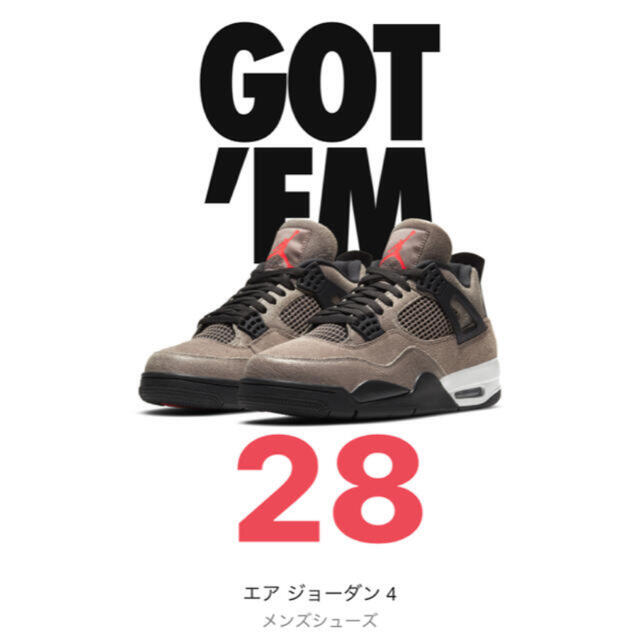 Nike AIR jordan4 Taupe Haze 28cm