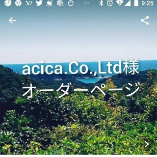 acica.Co.Ltd様 追加オーダーページ(外出用品)