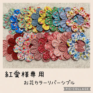 紅愛様専用🐾ベルルンの首輪🐾お花カラー24cm  (リード/首輪)