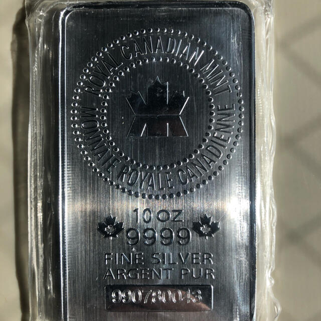 10oz(311g)　純銀インゴット　貨幣　資産投資用銀地金　カナダ造幣局発行