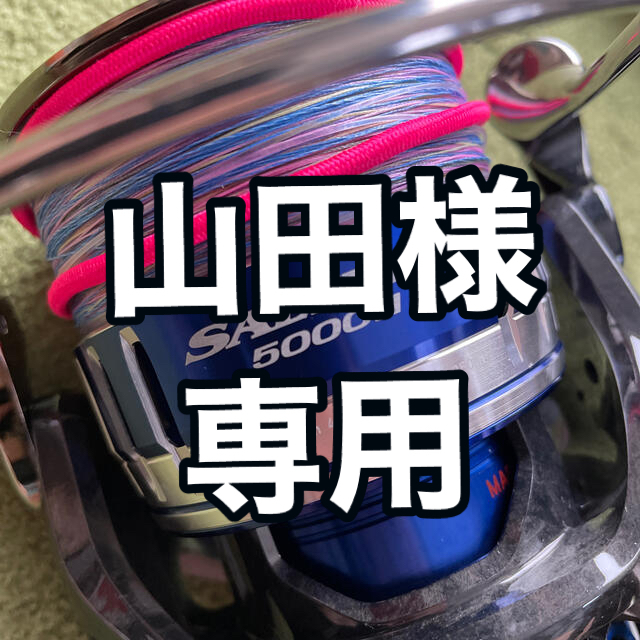 DAIWA(ダイワ)の【美品】15ソルティガ　5000H スポーツ/アウトドアのフィッシング(リール)の商品写真