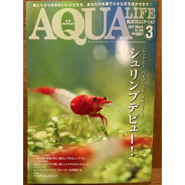 月刊 AQUA LIFE (アクアライフ) 2021年 03月号 エンタメ/ホビーの雑誌(趣味/スポーツ)の商品写真