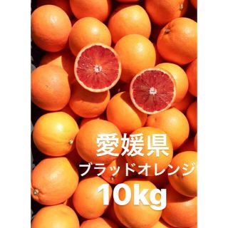 愛媛県　ブラッドオレンジ　10kg(フルーツ)