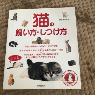 猫の飼い方・しつけ方(住まい/暮らし/子育て)