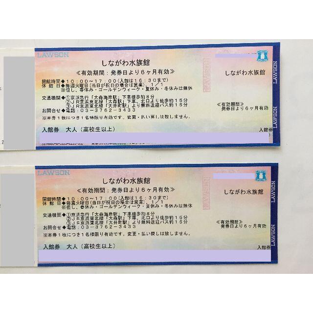 しながわ水族館 大人 入場券 2枚セットの通販 By Hide S Shop ラクマ しながわ水族館 大人 入場券 2枚セットの通販 By Hide S Shop ラクマ