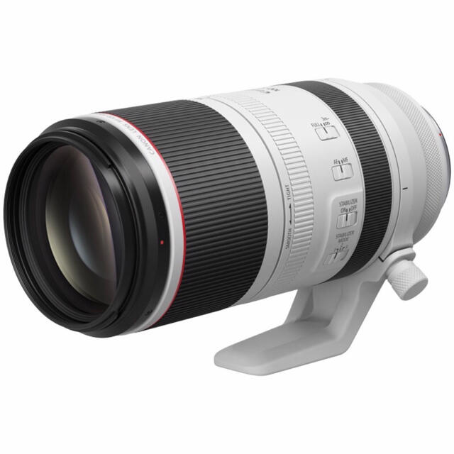 RF100-500mm F4.5-7.1 L IS USM 限定