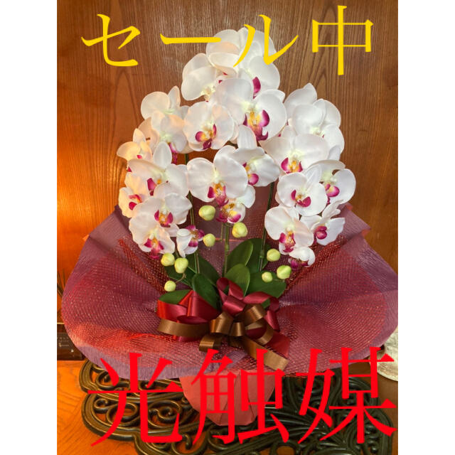 光触媒　人工観葉植物　造花　ウォールグリーン　胡蝶蘭3本7460