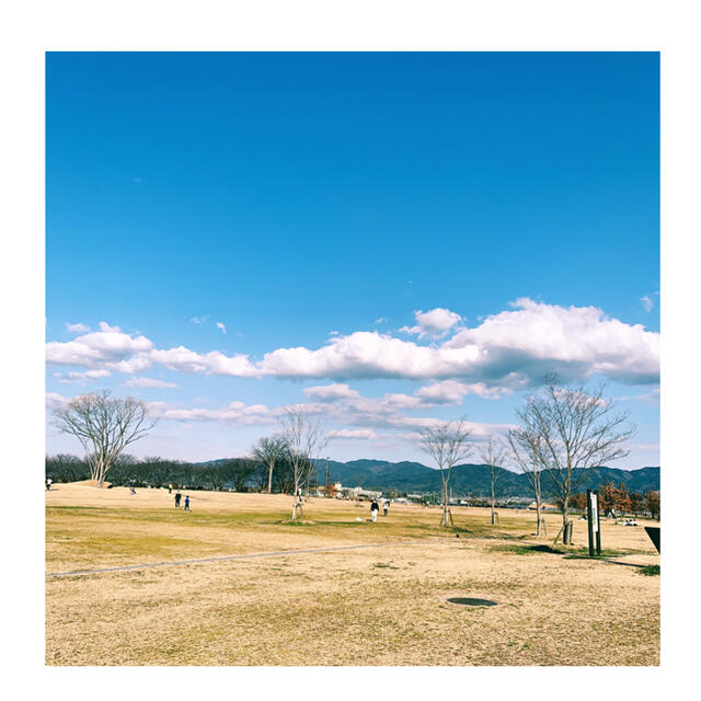 専用です。