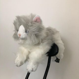 ひざねこM ラグドール(ぬいぐるみ)
