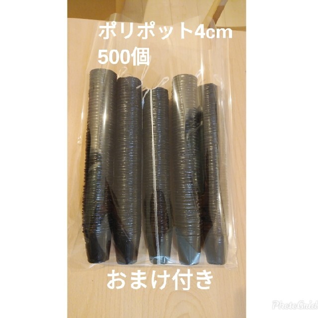 直営限定アウトレット ポリポット 4cm 黒 100個 通販 ポリポット 4cm 黒 100個