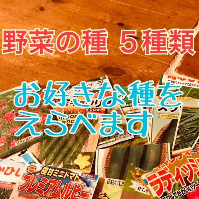 うたちょごり様 野菜の種 5種類 おまけ付きです 食品/飲料/酒の食品(野菜)の商品写真