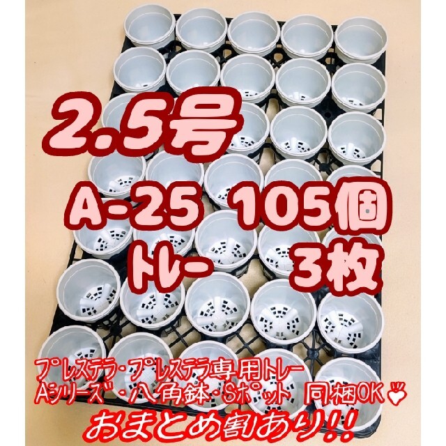 【スリット鉢】プレステラ105白20個＋専用システムトレー黒1枚 多肉植物 ハンドメイドのフラワー/ガーデン(プランター)の商品写真