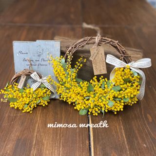 mimosa wreath(ドライフラワー)