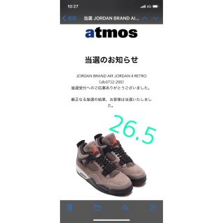 ナイキ(NIKE)のNIKE AIR JORDAN 4 "TAUPE HAZE"(スニーカー)