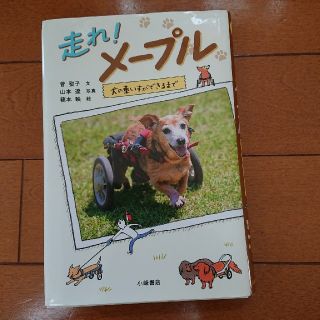 走れ！メープル 犬の車いすができるまで(絵本/児童書)