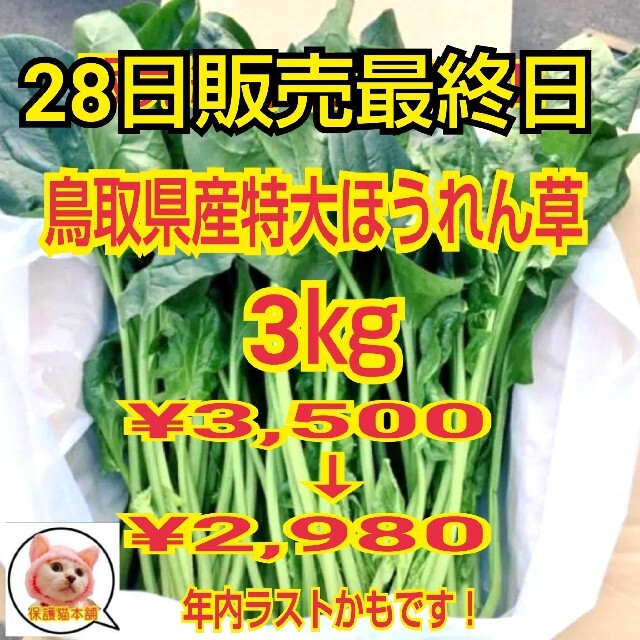 最大54%オフ! ホウレン草様専用 kead.al