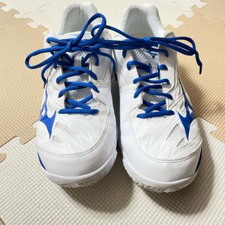 ミズノ(MIZUNO)のミズノ ウェーブクロー  27.5cm 中古美品(バドミントン)