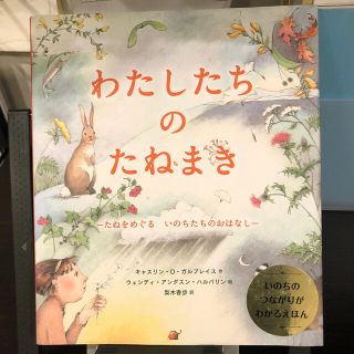 美品　カバー付　わたしたちのたねまき たねをめぐるいのちたちのおはなし(絵本/児童書)