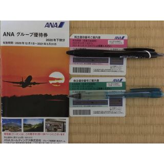 ANA飛行機優待券+グループ優待券(その他)