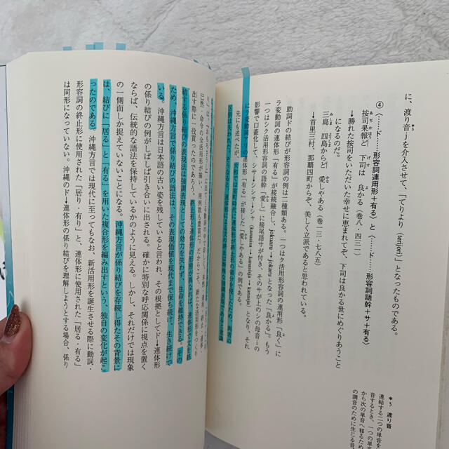 沖縄古語の深層 オモロ語の探究 増補版 エンタメ/ホビーの本(人文/社会)の商品写真