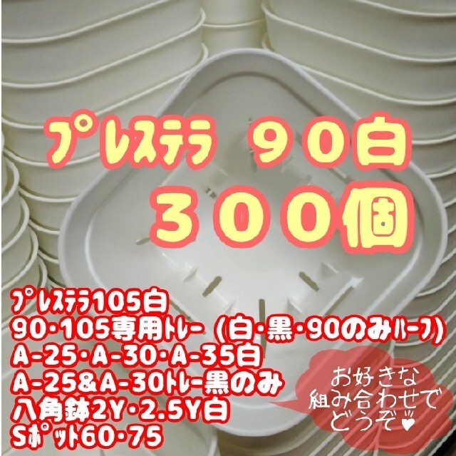 【スリット鉢】プレステラ90白300個 多肉植物 プラ鉢 ハンドメイドのフラワー/ガーデン(プランター)の商品写真