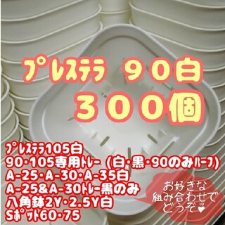 【スリット鉢】プレステラ90白300個 多肉植物 プラ鉢(プランター)