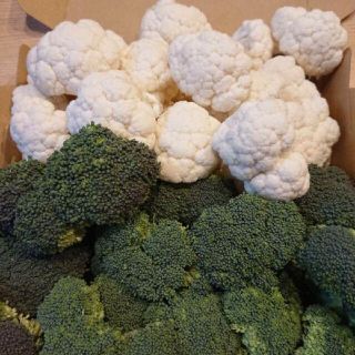 タイムセール★超お買い得❗★きゅうり★(野菜)