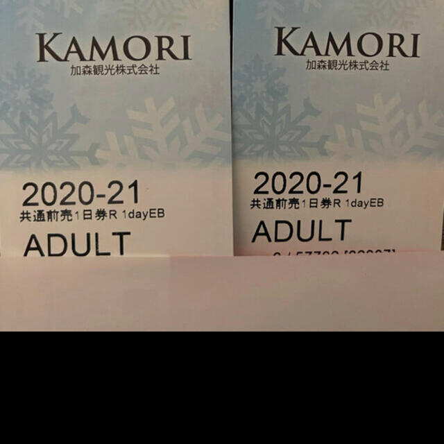 加森観光】ルスツ テイネ サホロ 3山共通1日券 大人2枚 ペア